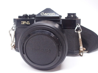 P1019245.JPG